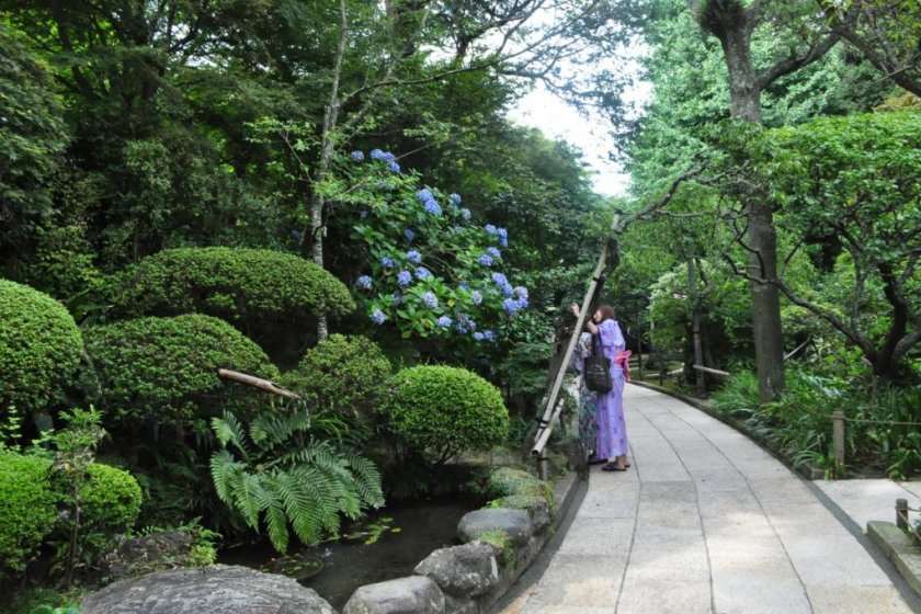 باغ های ژاپنی در توکیو؛ Houkokuji
