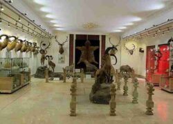 موزه های اردبیل؛ نمایانگر قدمت و اصالت