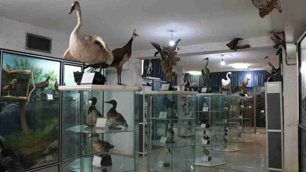 موزه تاریخ طبیعی کرمانشاه