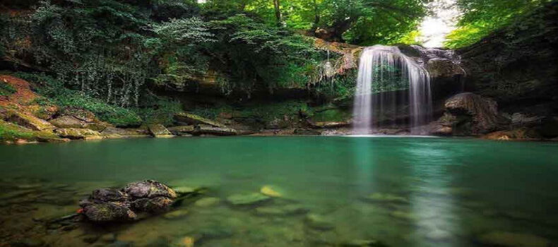 جنگل های رامسر