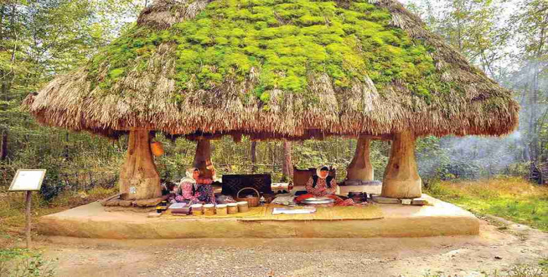 بهترین زمان سفر به رشت