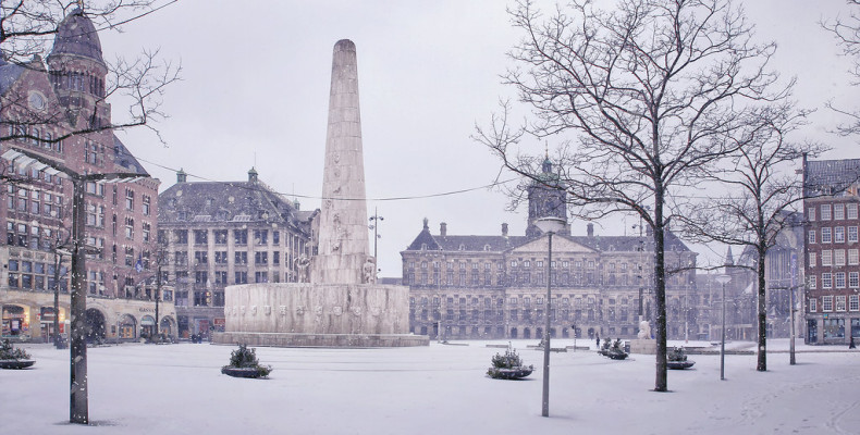 میدان دام
