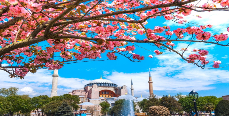 بهار در استانبول، ترکیه 