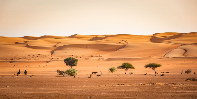 شهر خور و بیابانک