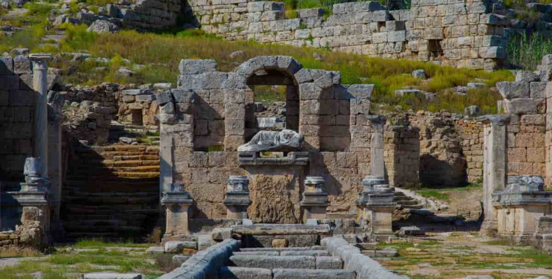 سیده