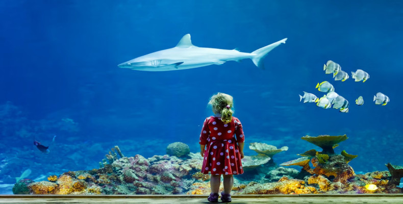 آکواریوم پاریس (Aquarium de Paris)