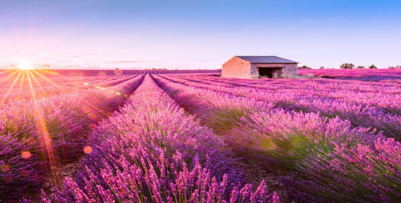  طلای آبی پرووانس از جاهای دیدنی فرانسه