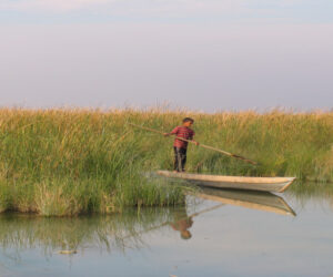 تالاب شادگان خوزستان