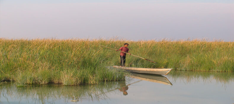 تالاب شادگان خوزستان