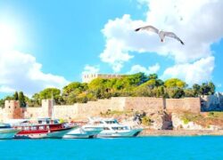 بدروم یا کوش آداسی