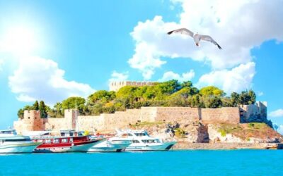 بدروم یا کوش آداسی