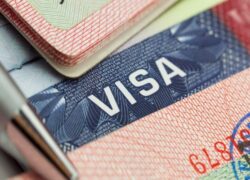 انواع ویزای توریستی