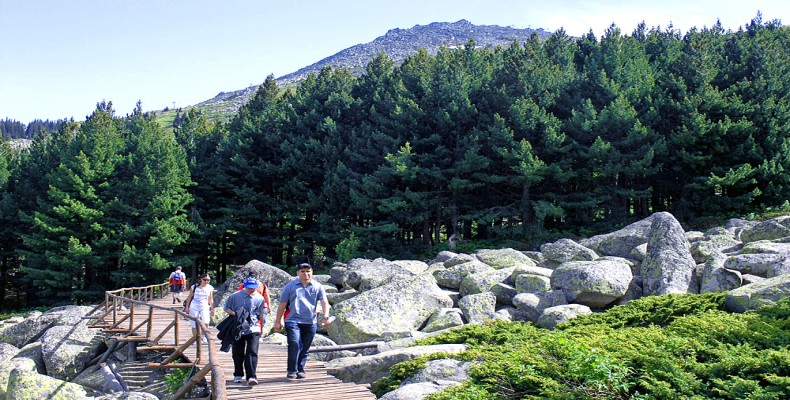 کوه ویتوشا (Vitosha Mountain)
