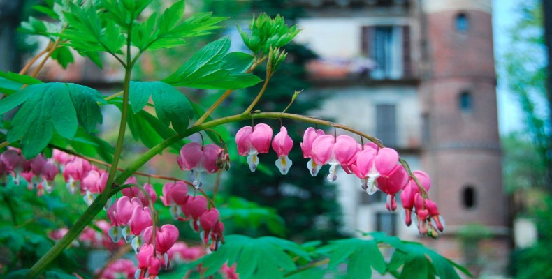 باغ گیاهشناسی بررا میلان؛ فضای سبز و آرام برای تفریح رایگان