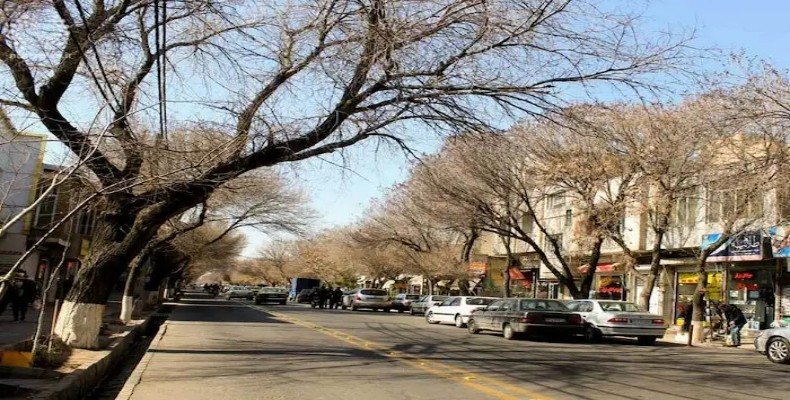 خیابان ششگلان تبریز با درختان قدیمی و فضای شهری